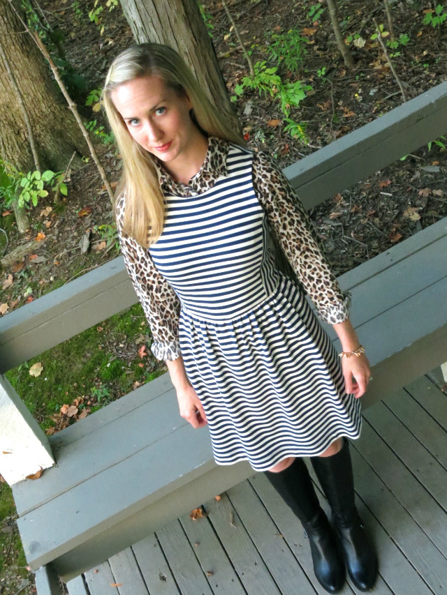 law school style blog, madewell striped dress, leopard button up, calvin klein boots