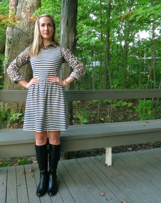 law school style blog, madewell striped dress, leopard button up, calvin klein boots